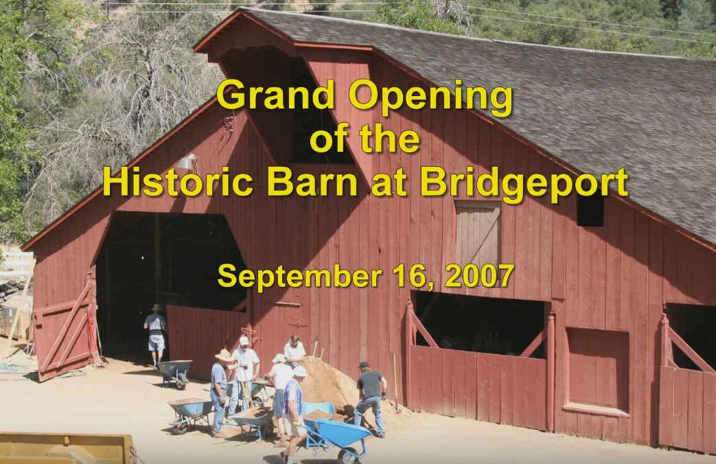 Barn Floor Video